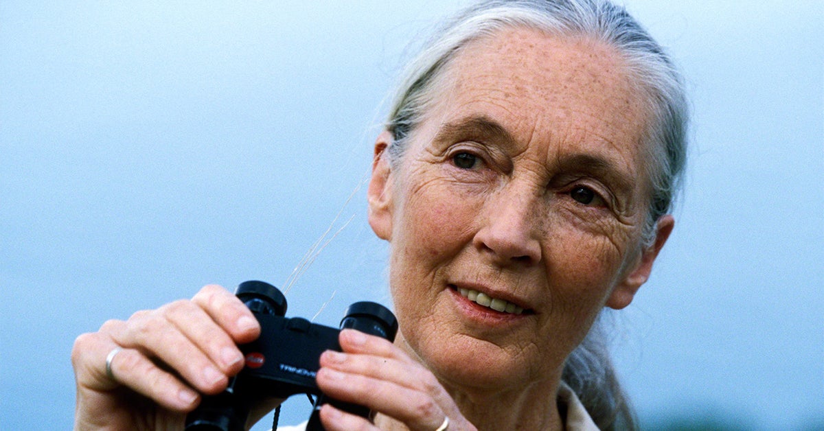 An Afternoon with Dr. Jane Goodall
